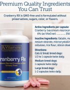Rx Vitamins Cranberry supliment sistem urinar câini capsule Cranberry supliment sistem urinar câini și pisici flacon 90 capsule