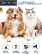 Rx Vitamins Renal Feline supliment sistem renal câini capsule Renal Feline supliment sistem renal câini și pisici flacon 120 capsule
