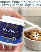 Rx Vitamins Zyme supliment sistem digestiv câini pudră Zyme supliment sistem digestiv câini și pisici flacon 120g pudră