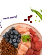 Sanabelle Adult Struț și Afine hrană uscată pisici 400g