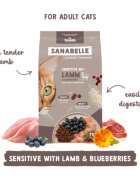 Sanabelle Sensitive Miel și Afine hrană uscată pisici sistem digestiv 8kg