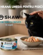 SHAW File Ton și Creveți conservă hrană umedă fără cereale pisici apetit capricios (în supă) 80g