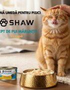 SHAW Piept Pui conservă hrană umedă fără cereale pisici apetit capricios (în supă) bax 80g x 12buc