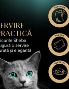 SHEBA Fresh & Fine Selectie mixt cu Pui Somon și Curcan plic hrană umedă pisici (în sos) multipack 50g x 6buc