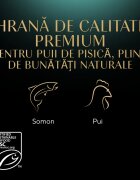SHEBA Kitten Selectie Mixta Somon și Pui plic hrană umedă pisici junior (în sos) multipack 85g