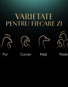 SHEBA Nature's Collection Pasăre plic hrană umedă fără cereale pisici (în sos) multipack 85g x 4buc Nature's Collection Pasăre plic hrană umedă fără cereale pisici (în sos) 85g x4buc