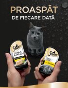 SHEBA Perfect Portions Pui tăviță hrană umedă pisici (pate) multipack 37.5g x 6buc