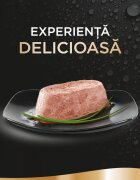 SHEBA Perfect Portions Somon tăviță hrană umedă pisici (pate) multipack 37.5g x 6buc
