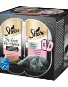 SHEBA Perfect Portions Somon tăviță hrană umedă pisici (pate) multipack 37.5g x 6buc