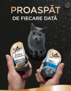 SHEBA Perfect Portions Ton tăviță hrană umedă pisici (în sos) multipack 37.5g x 6buc