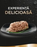 SHEBA Perfect Portions Ton tăviță hrană umedă pisici (în sos) multipack 37.5g x 6buc