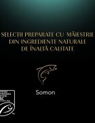 SHEBA Select Slices Somon plic hrană umedă pisici (în sos) 85g
