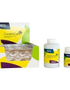 Stangest CondroCare supliment sistem articular câini comprimate CondroCare XS-XL supliment sistem articular câini și pisici flacon 90 comprimate