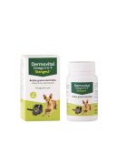 Stangest Dermovital Omega 3-6-9 supliment piele & blană câini comprimate Dermovital Omega 3-6-9 XS-XL supliment piele & blană câini și pisici flacon 300 comprimate