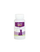 Stangest Gingivet XS-XL supliment sensibilități dentare câini și pisici flacon 60 comprimate