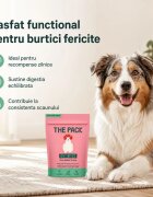 THE PACK Gut Bites XS-XL Fructe punguță recompense câini sistem digestiv 100g