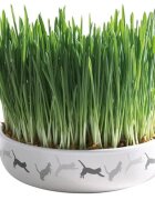 Trixie Bol Ceramica 15*45cm cu Seminte de Orz pentru Iarba 50g