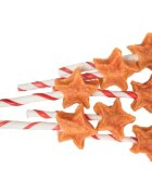 Trixie Christmas Lollipop Star XS-XL Pui recompense câini 14g