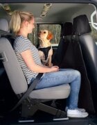 Trixie Husa de Protectie Auto Husa de Protectie Auto 145 x 160 cm Neagra