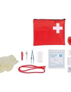 Trixie Kit Primul Ajutor 11 accesorii Trusa de Prim Ajutor câini și pisici