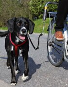 Trixie Set de Lux pentru Bicicleta