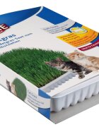 Trixie tavita de plastic cu seminte de iarba 100g