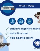 TRM Canigest Oral Paste supliment sistem digestiv & probiotice câini pastă orală Canigest Oral Paste XS-XL supliment sistem digestiv & probiotice câini și pisici flacon 30ml pastă orală