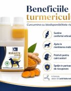 TRM Kurasyn supliment sistem articular câini suspensie orală Kurasyn XS-XL supliment sistem articular câini flacon 240ml suspensie orală