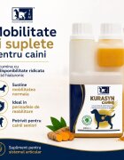 TRM Kurasyn supliment sistem articular câini suspensie orală Kurasyn XS-XL supliment sistem articular câini flacon 240ml suspensie orală