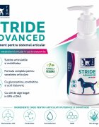 TRM Stride Advanced supliment sistem articular câini suspensie orală Stride Advanced XS-XL supliment sistem articular câini flacon 200ml suspensie orală