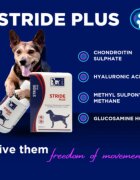 TRM Stride Plus supliment sistem articular câini suspensie orală Stride Plus XS-XL supliment sistem articular câini flacon 200ml suspensie orală