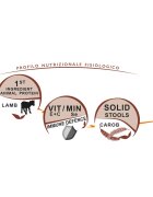 UNICA Classe Equilibrium Medium M Miel hrană uscată câini 3kg