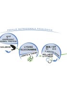 UNICA Classe Longevity XS-XL Somon hrană uscată conținut redus cereale câini obezitate 12kg