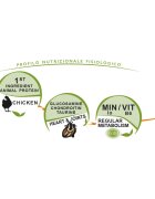 UNICA Classe Regular Maxi L-XL Pui hrană uscată câini 12kg