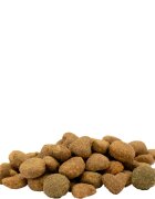 Versele Laga Happy Life XS-XL Somon hrană uscată câini 12.5kg+2.5kg