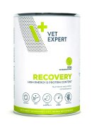 VET EXPERT 4T Veterinary Diet Recovery Dog Pui 400 g
