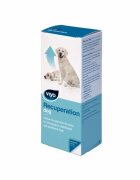 Viyo Recuperation Dog x 1 fl