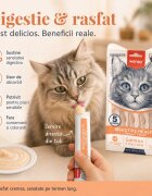 WANPY Creamy Digestive Health Somon și Pui punguță recompense funcționale pisici sistem digestiv (piure) 70g