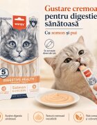 WANPY Creamy Digestive Health Somon și Pui punguță recompense funcționale pisici sistem digestiv (piure) 70g