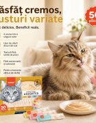WANPY Creamy Treat Assorted Pui și Ton punguță recompense pisici (piure) 350g
