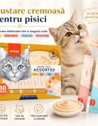 WANPY Creamy Treat Assorted Pui și Ton punguță recompense pisici (piure) 350g
