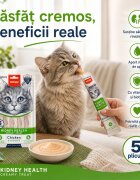 WANPY Kidney Health Creamy Treat Pui și Legume punguță recompense funcționale pisici sistem renal (piure) 70g