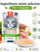 WANPY Kidney Health Creamy Treat Pui și Legume punguță recompense funcționale pisici sistem renal (piure) 70g