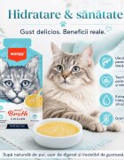 WANPY Meat Broth Pui plic hrană umedă pisici (supă) 50g