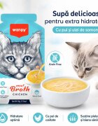 WANPY Meat Broth Pui plic hrană umedă pisici (supă) 50g