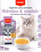 WANPY Meat Broth Rață plic hrană umedă pisici (supă) 50g