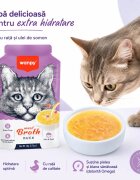 WANPY Meat Broth Rață plic hrană umedă pisici (supă) 50g