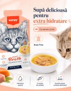 WANPY Meat Broth Somon și Ton plic hrană umedă pisici (supă) 50g