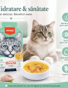 WANPY Meat Broth Ton plic hrană umedă pisici (supă) 50g