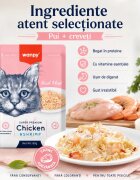 WANPY Pui și Creveți punguță hrană umedă pisici (în aspic) 85g